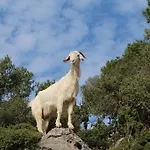 אכסניה Gul פאראליה