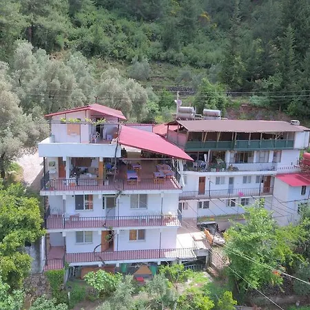 Gul Faralya