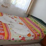 Domek letniskowy Gul *