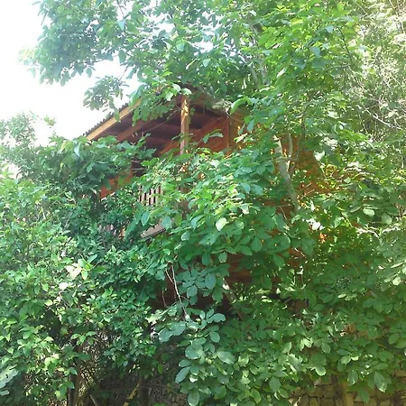 Gul Деревянный коттедж Фаралия