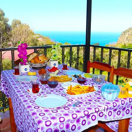 Деревянный коттедж Gul