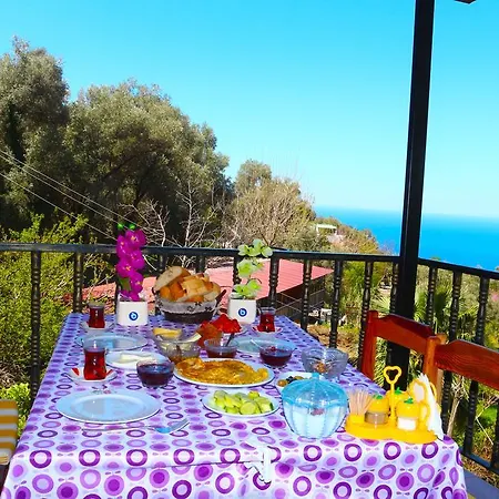Gul * Faralya